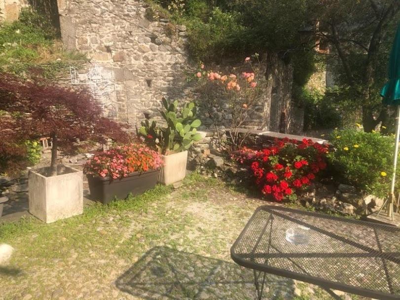 Apartament Casa Rosa Dervio Zewnętrze zdjęcie